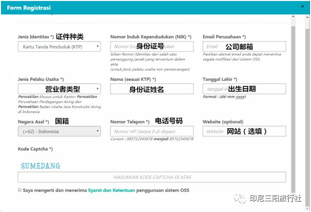 2024年12月 第81页