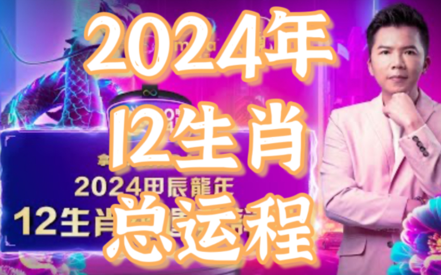 管家婆一码中一肖2024年,管家婆的神秘预测，一码中定，揭秘生肖运势走向2024年