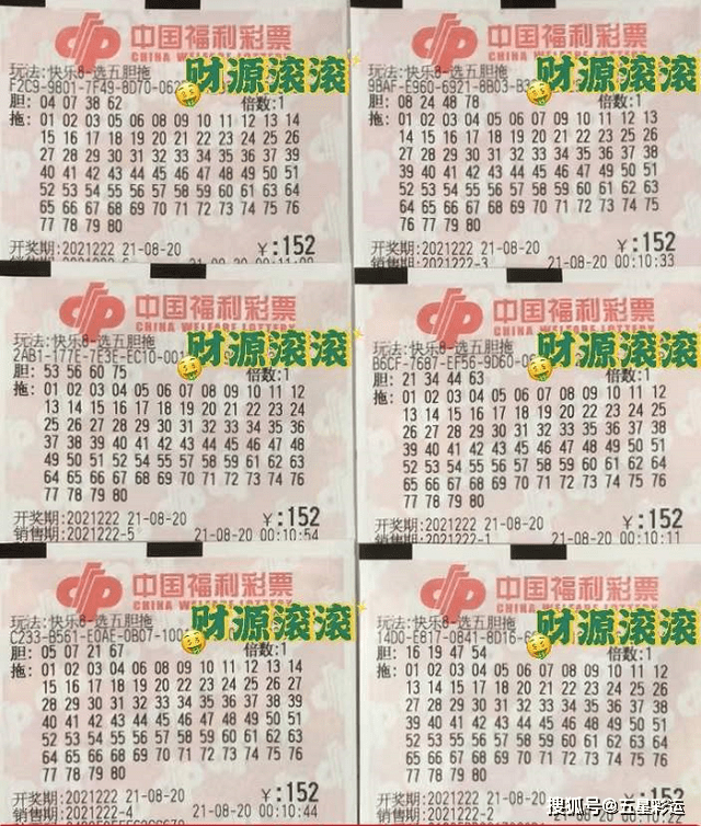 澳门今晚必开一肖,澳门今晚必开一肖，探索生肖彩票的魅力与理性投注的重要性