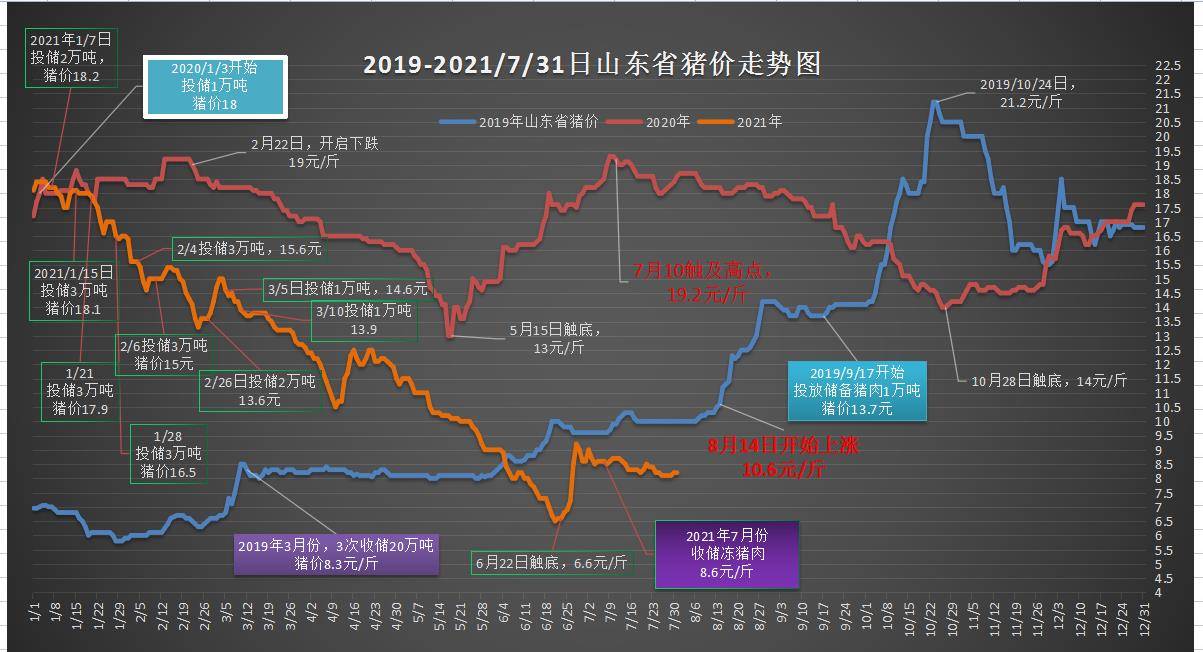 2023年澳门特马今晚开码,澳门特马今晚开码——探索未来的繁荣与机遇