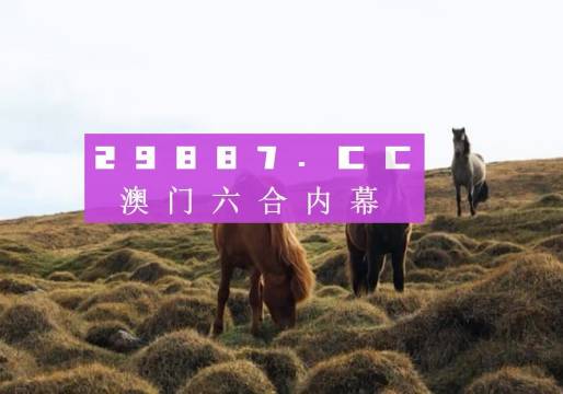 新奥门开奖结果+开奖结果,新澳门开奖结果及开奖概述