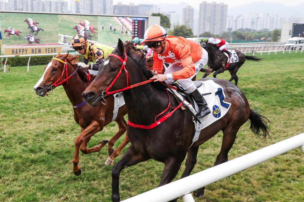 香港马资料更新最快的,香港马资料更新最快的来源与运用