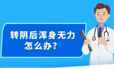 新澳免费资料大全精准版,新澳免费资料大全精准版——揭示违法犯罪问题