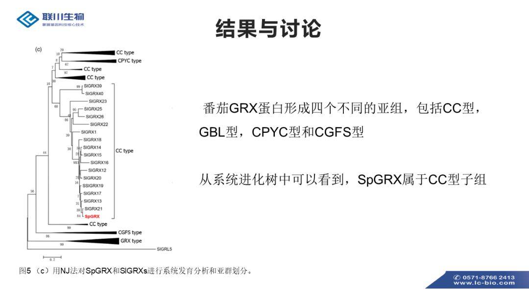 2025全年资料免费大全功能,迈向未来的资料共享，探索2025全年资料免费大全功能的无限可能