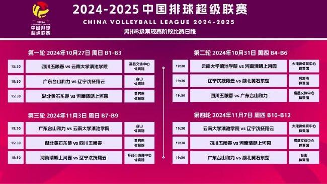 新澳门天天彩2025年全年资料,新澳门天天彩2025年全年资料解析与探讨