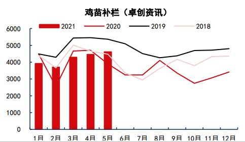 2025新澳今晚资料鸡号几号,关于新澳今晚资料鸡号的预测与探讨——以XXXX年为视角