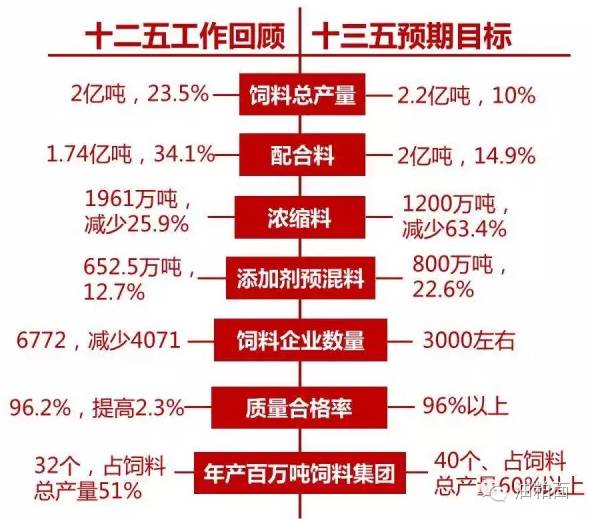 2025年新澳天天开彩最新资料,探索未来，揭秘2025年新澳天天开彩最新资料