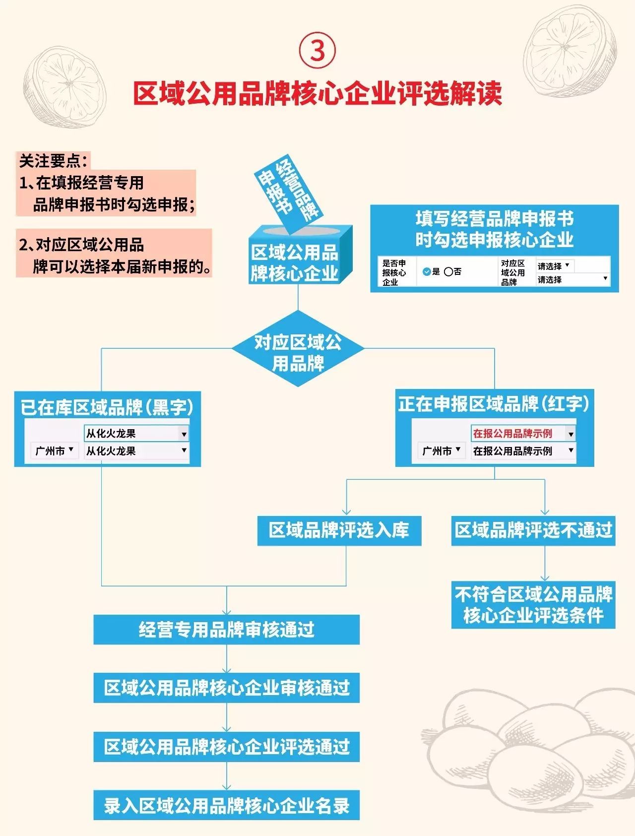 新澳天天开奖资料大全,新澳天天开奖资料大全，深度解析与实用指南