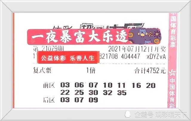 新澳2025今晚开奖结果,新澳2025今晚开奖结果揭晓，探索彩票背后的故事与影响