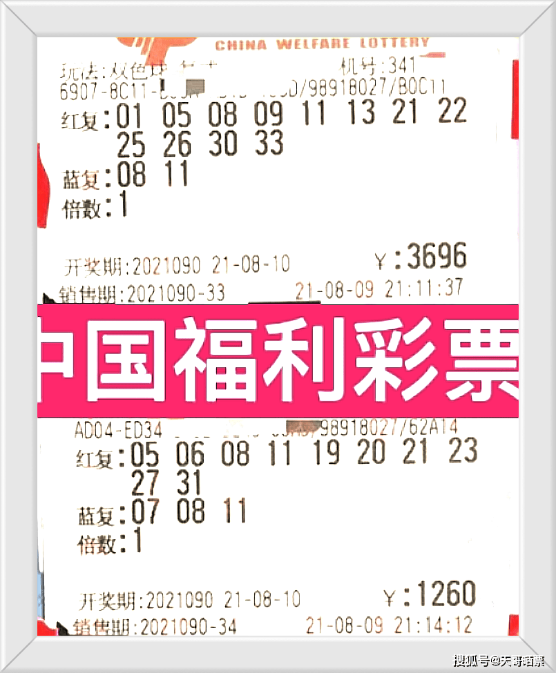 236767澳门今晚开什么号码,澳门今晚开什么号码——探索彩票背后的神秘与魅力