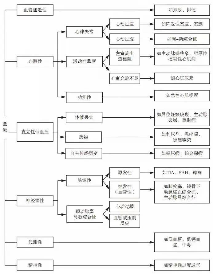 777778888王中王最新,探索数字背后的秘密，揭秘王中王最新动向与数字777778888的神秘面纱