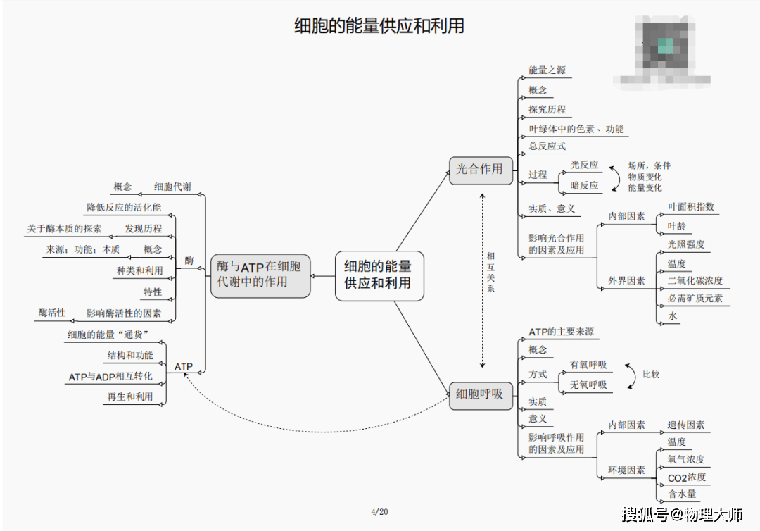 三期内必开一期特号,三期内必开一期特号的深度分析与展望