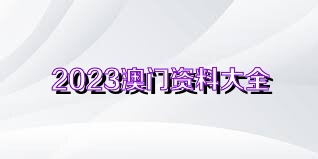 新澳资料大全正版2025金算盘123期 10-20-30-38-40-45F：03,新澳资料大全正版2025金算盘123期详解与探索，数字背后的秘密