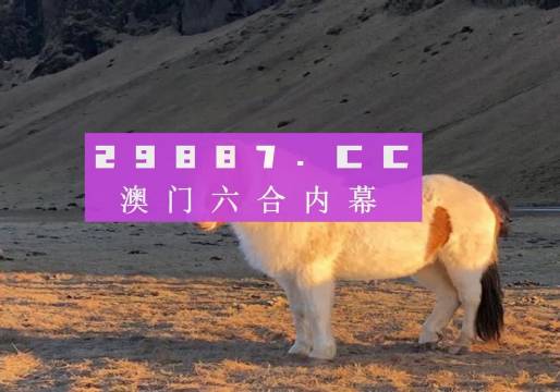 澳门一肖一码一必开一肖080期 02-16-20-25-39-49Z：14,澳门一肖一码一必开一肖，探索与解析