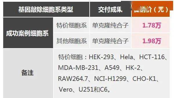 新澳门挂牌正版完挂牌记录怎么查116期 01-20-24-35-41-45Q：42,探索新澳门挂牌正版完挂牌记录，揭秘查询方法与历史数据解读